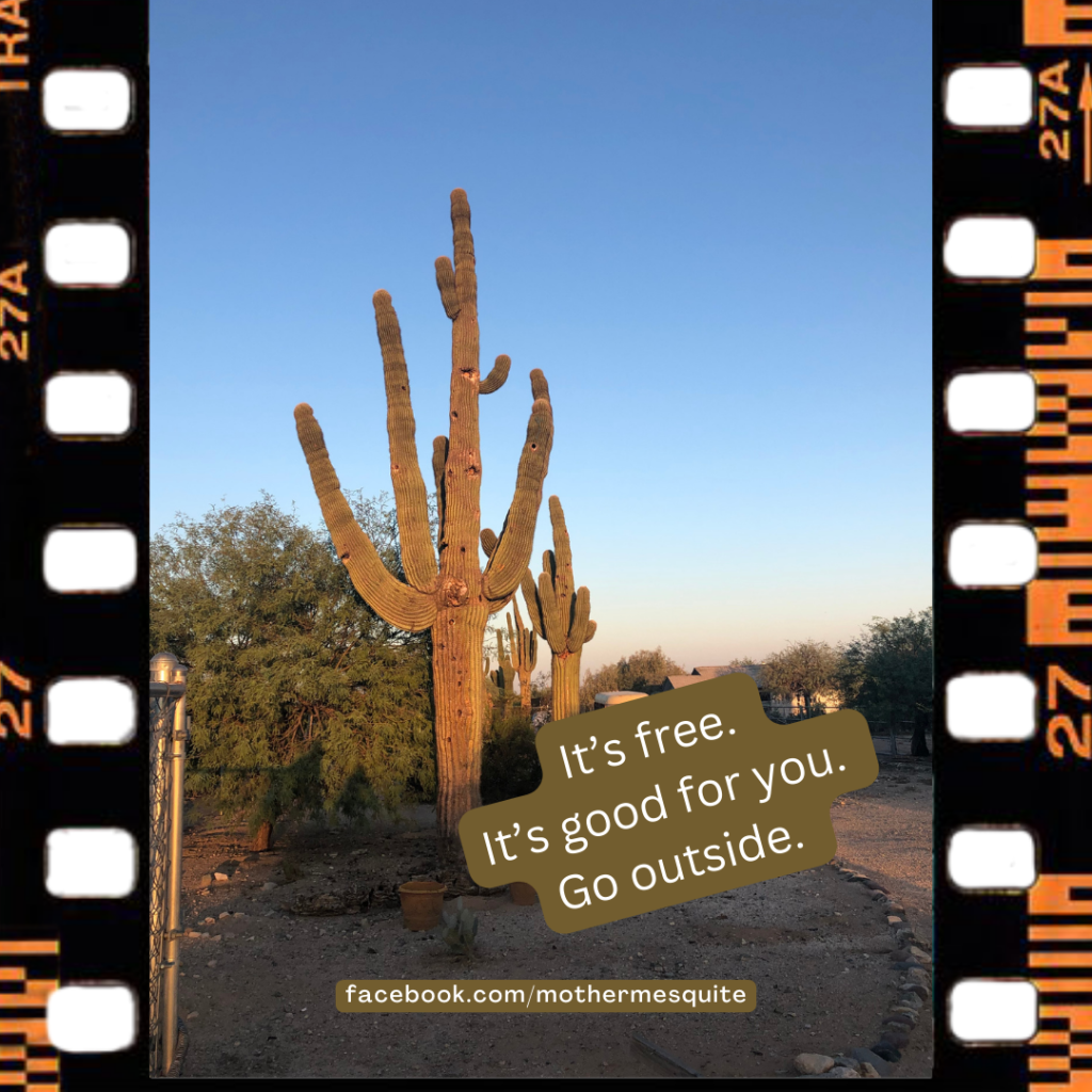 a giant cactus and desert scene with the words its free, its good for you, go outside.